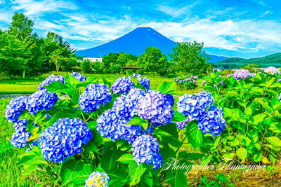 20250628-fujiyoshidashi06305