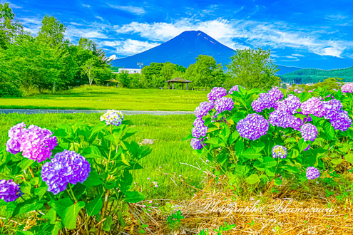 20250628-fujiyoshidashi06324