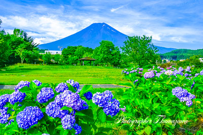 20250628-fujiyoshidashi1578