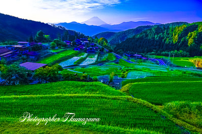 20250628-hirabayashi06299