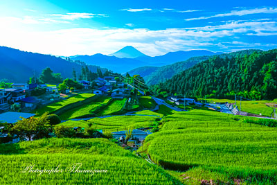 20250808-hirabayashi08613