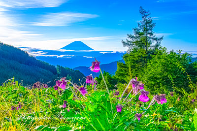 20250922-kushigatayama8761