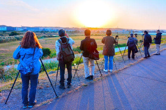 20251107-chofu_daiya0515