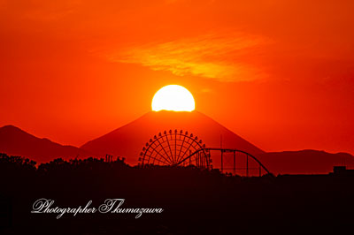 20251107-chofu_gohonmatsukoen8953m