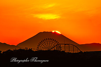 20251107-chofu_gohonmatsukoen8997m