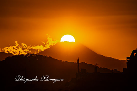 20251110-chofu_tamagawa3_9052