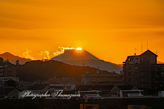 20251110-chofu_tamagawa3_9073