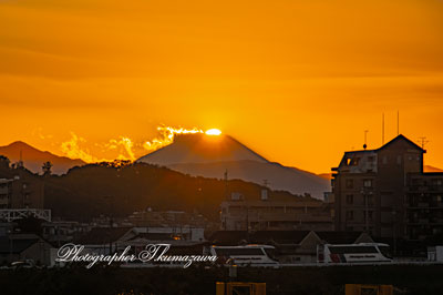 20251110-chofu_tamagawa3_9073m