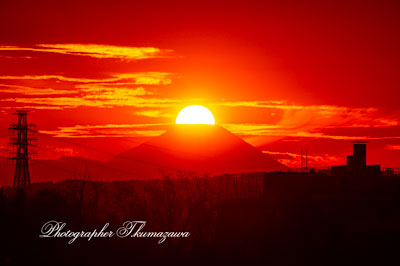 20251112-Fuchushi_oshitate5_9189m