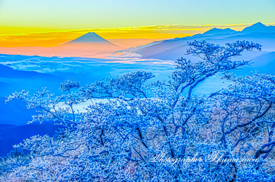 20251112-takabocchi01430