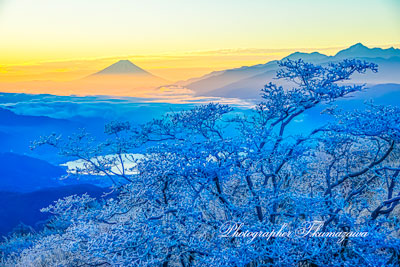 20251112-takabocchi1427