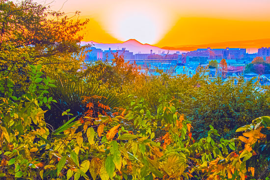 20251117-mitakashi_tenmonndaiura9437