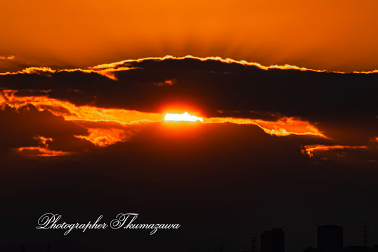 20251120-Fuchu_mitten9457