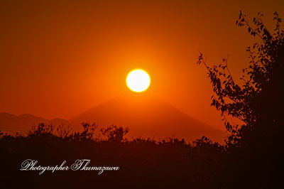 20251121-koganeishi_higashicyo9502m