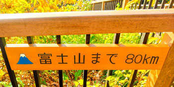 20251122-koganeishi_97kaidan-2