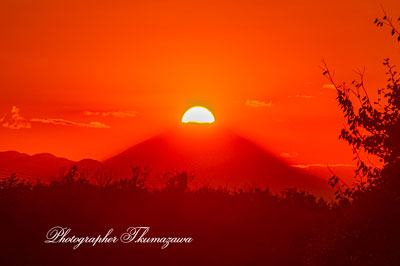 20251122-koganeishi_higashicyo9602m