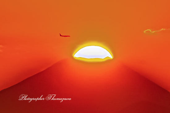 20251122-koganeishi_higashicyo9631