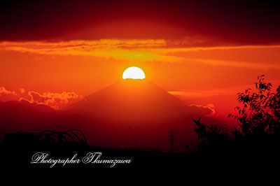 20251123-koganeishi_kannonzaka9730m