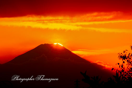 20251123-koganeishi_kannonzaka9787