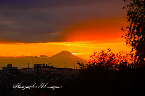 20251123-koganeishi_kannonzaka9808