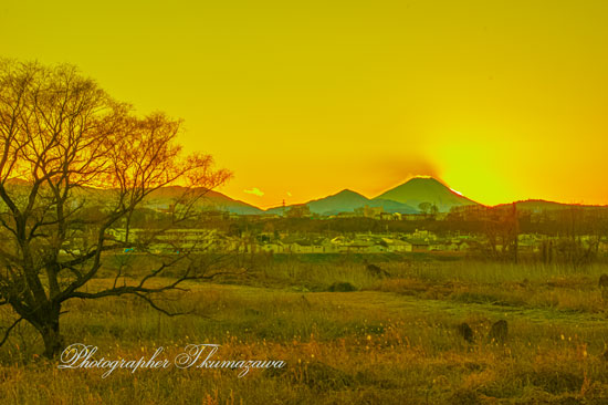 20260103-tachikawashi_fujimimachi7_0233