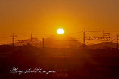 20260104-tachikawashi_shibasaki0264m