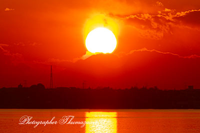 20260105-kasumigaurashi_kamo2110m