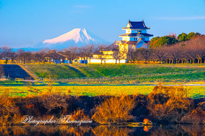 20260105-sakaimachi_sekiyadojyo0390