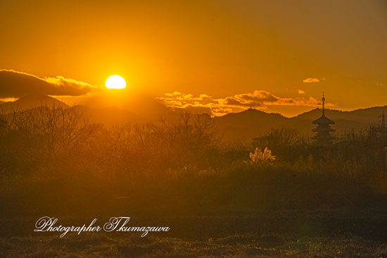 20260109-hachiojishi_kobikimachi0604