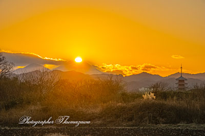 20260109-hachiojishi_kobikimachi0626m