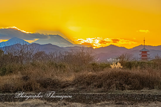 20260109-hachiojishi_kobikimachi0655