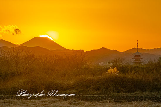 20260110-hachiojishi_kobikimachi0749