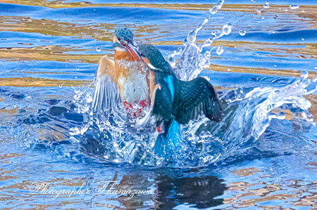 20260113-nogawa03270