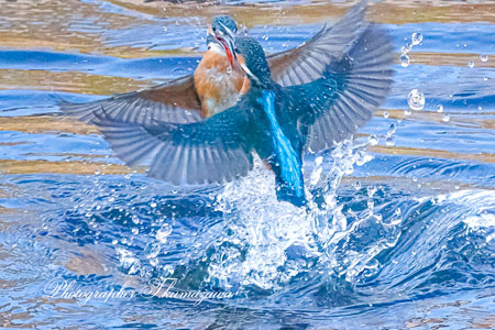 20260113-nogawa03271