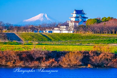 20260114-sakaimachi_sekiyadojyo03790