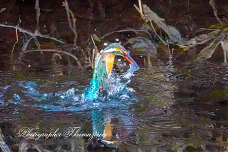 20260118-nogawa03827