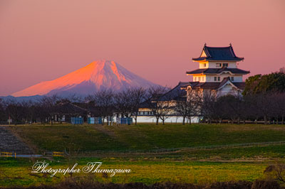 20260123-sakaimachi_sekiyadojyo1251