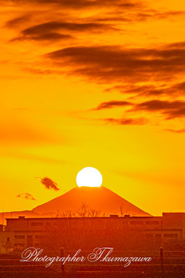 20260126-Chofu_Airport-1580tm