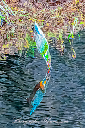 20260129-nogawa06852t