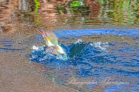 202602014-nogawa03817