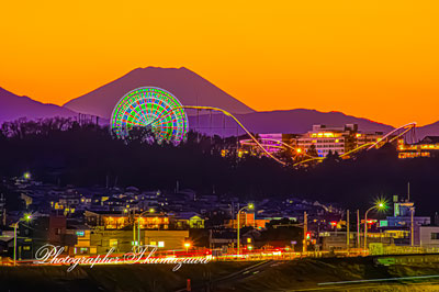 20260203-chofu_gohonmatukoen2033m