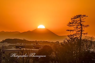 20260206-komaeshi_motoizumi3_2329m