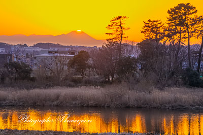 20260206-komaeshi_motoizumi3_2361m