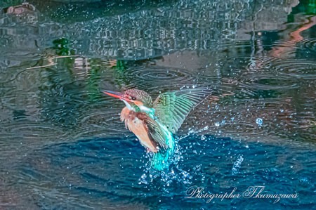 20260214-nogawa03700