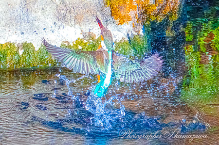 20260216-nogawa05606