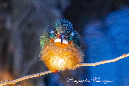 20260219-nogawa06873