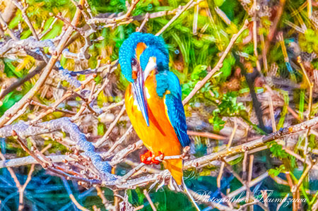 20260227-nogawa02109