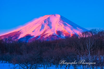 20260305-fujiyoshidashi2541