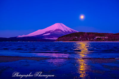 20260305-yamanakako_hirano2532