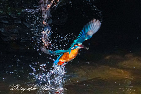 20260307-nogawa05704